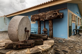 Musei