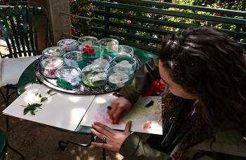 Scuole